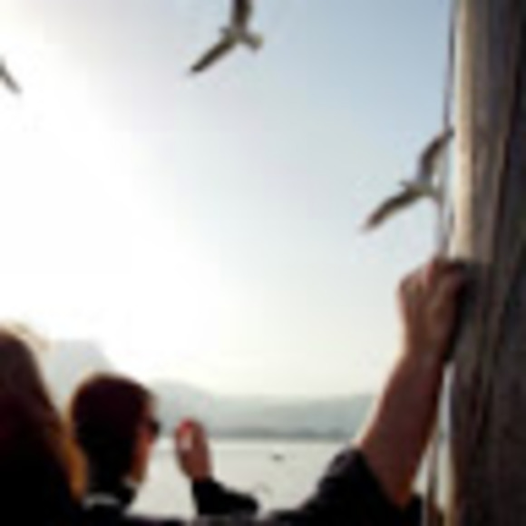 Meet your Posher, Jake - Picture 1 of 1